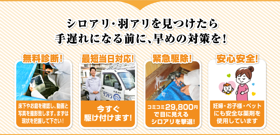 シロアリ・羽アリを見つけたら手遅れになる前に、早めの対策を！