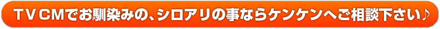 TV CMでお馴染みの、シロアリの事ならケンケンへご相談下さい♪