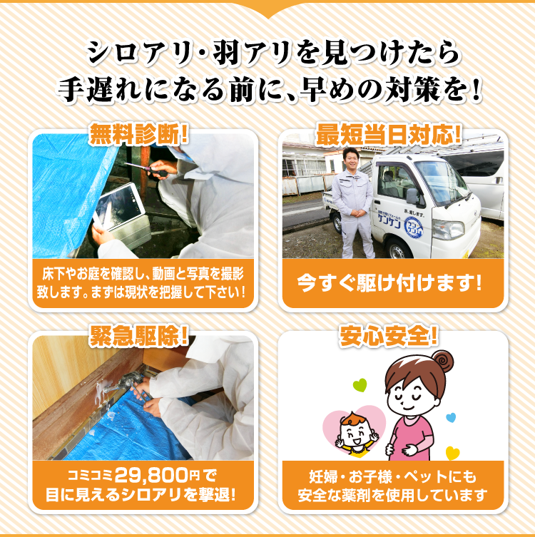 シロアリ・羽アリを見つけたら手遅れになる前に、早めの対策を！